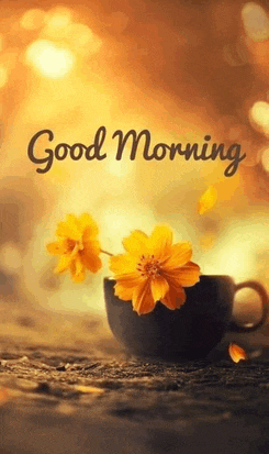 Good Morning Meme