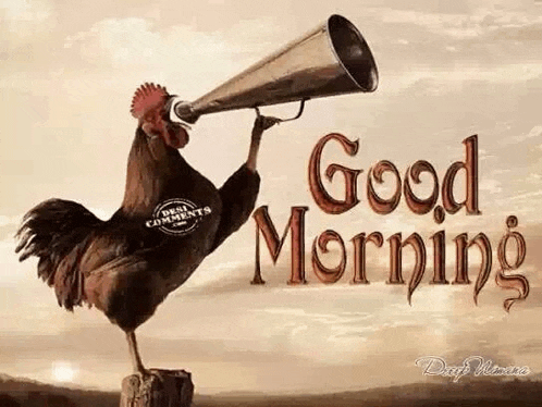 Good Morning Meme