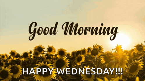 Good Morning Meme