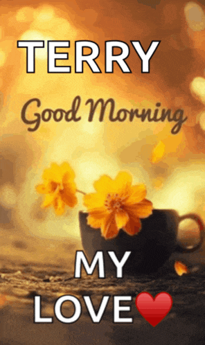 Good Morning Meme