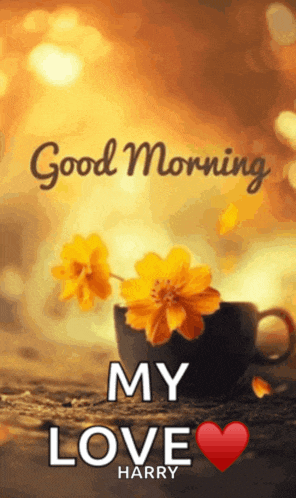 Good Morning Meme