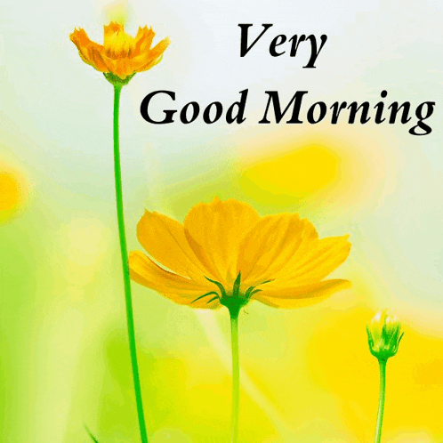Good Morning Meme