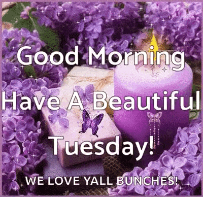 Good Morning GIF