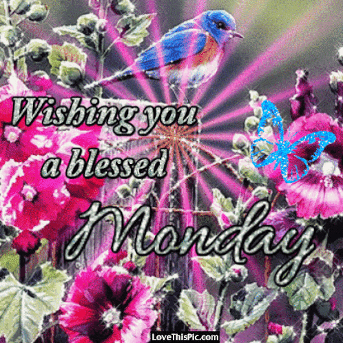 Good Morning Monday GIF