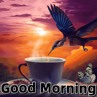 Good Morning Morning GIF
