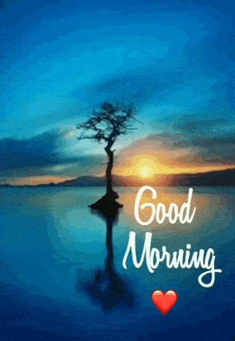 Good Morning Morning GIF