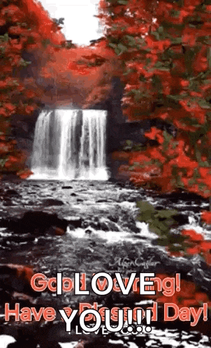 Good Morning Morning Quotes GIF