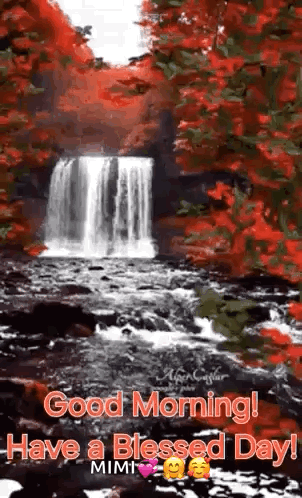 Good Morning Morning Quotes GIF