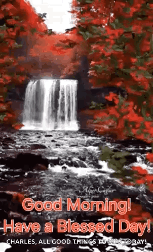 Good Morning Morning Quotes GIF