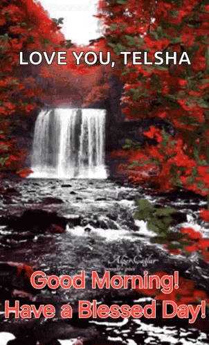 Good Morning Morning Quotes GIF
