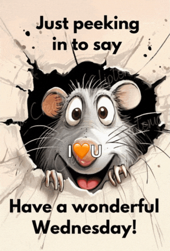 Good Morning Mouse Meme