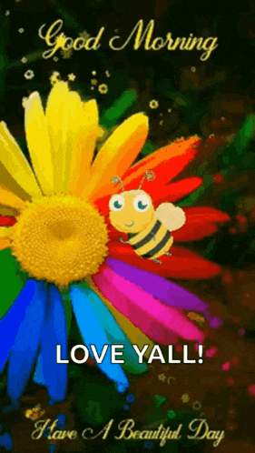 Good Morning GIF