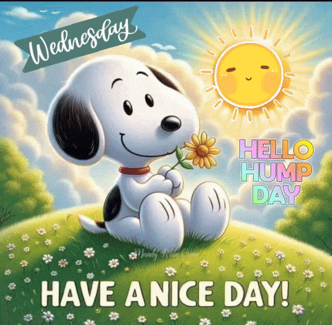 Good Morning GIF