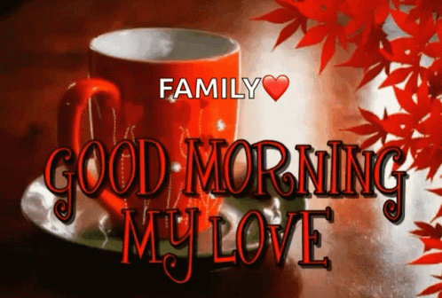 Good Morning My Love Good Morning Love GIF