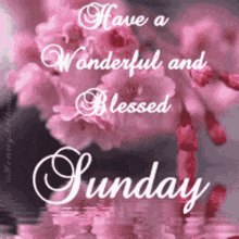 Good Morning GIF