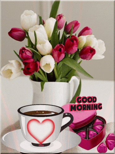Good Morning GIF
