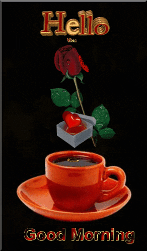 Good Morning GIF