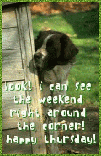 Good Morning GIF