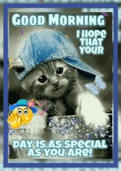 Good Morning GIF