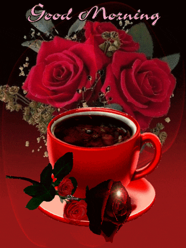 Good Morning GIF