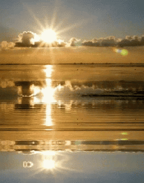 Good Morning GIF