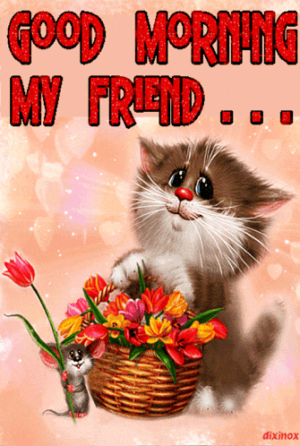 Good Morning GIF