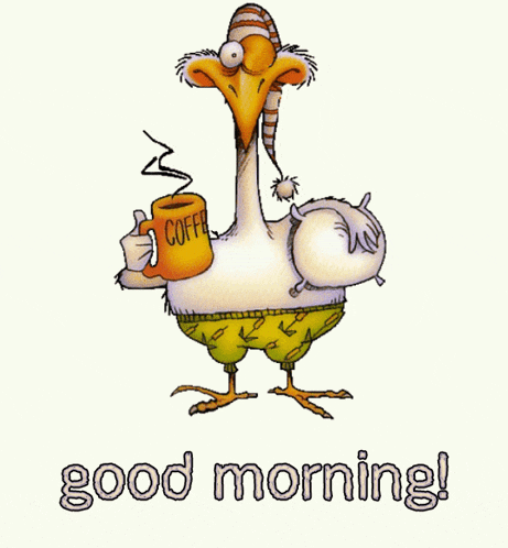 Good Morning GIF