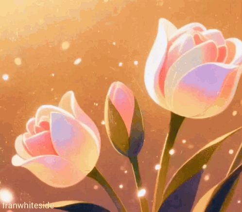Good Morning Pink Tulips GIF