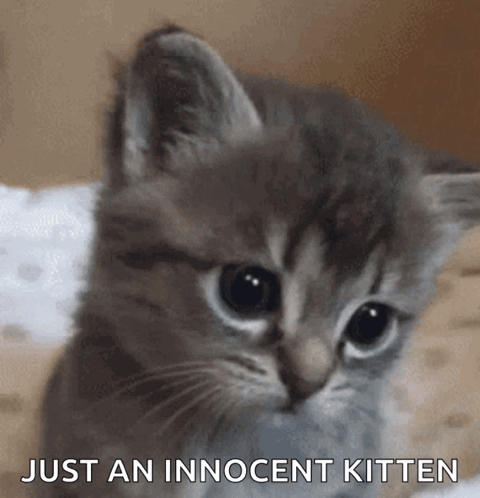 Good Morning GIF