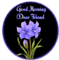 Good Morning Purple Amaryllsis Sticker