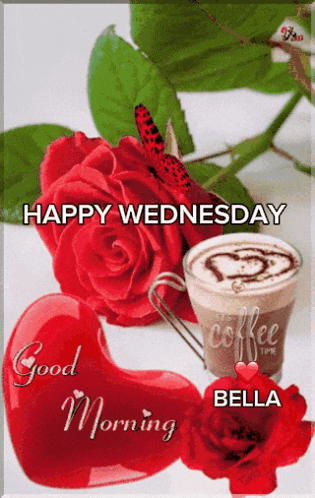 Good Morning GIF