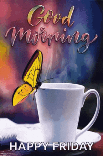 Good Morning GIF