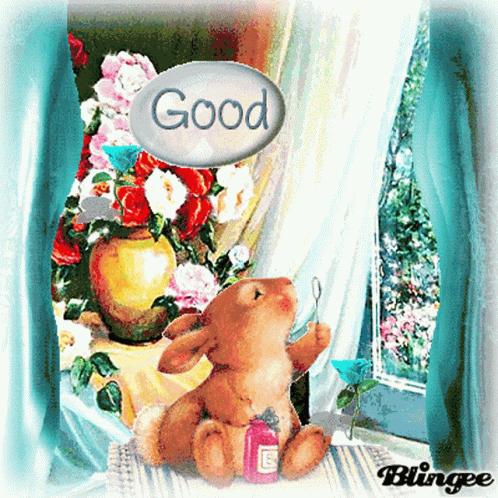 Good Morning Rabbit GIF