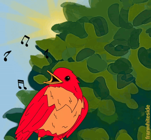 Good Morning Red Bird GIF