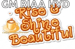 Good Morning Rise And Shine GIF