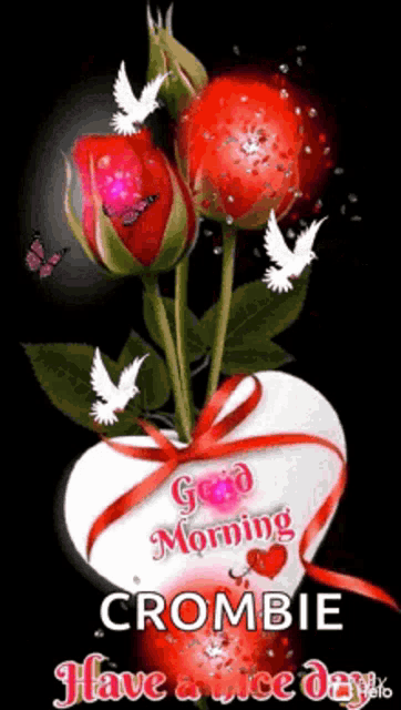 Good Morning Rollygifs GIF