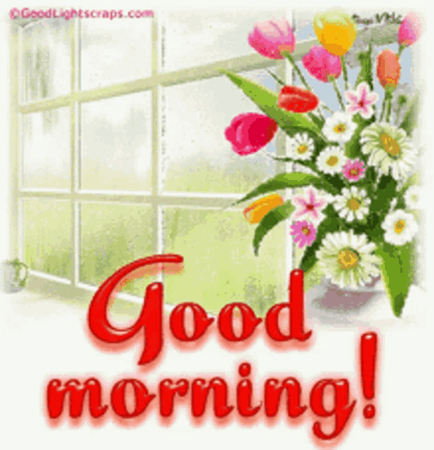 Good Morning Rollygifs GIF