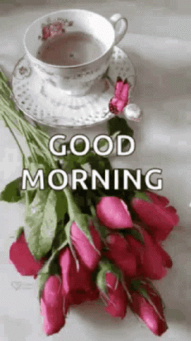 Good Morning Rollygifs GIF