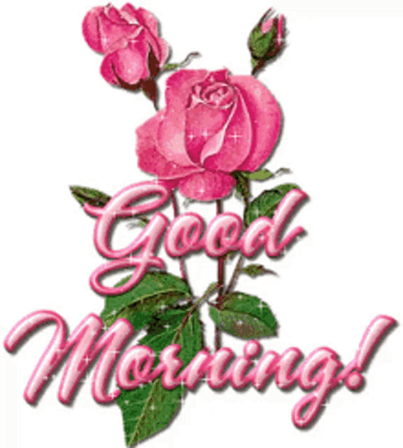 Good Morning Rollygifs GIF