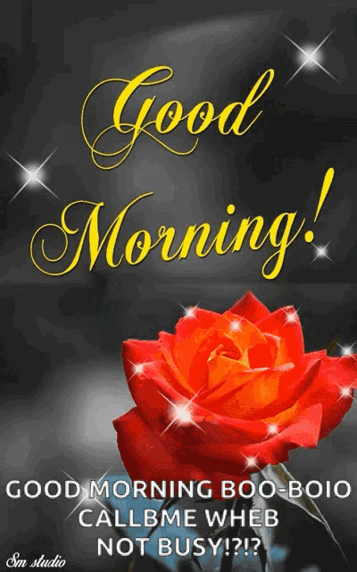Good Morning Rose GIF