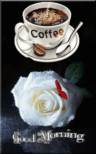 Good Morning GIF
