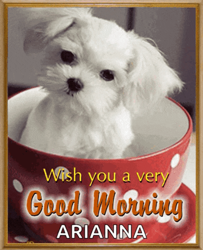 Good Morning GIF