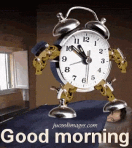 Good Morning GIF