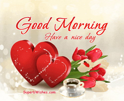 Good Morning GIF