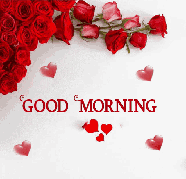 Good Morning GIF