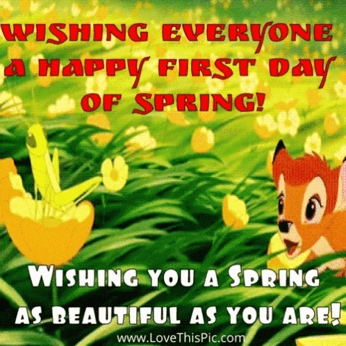 Good Morning Spring GIF