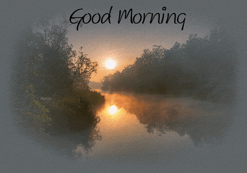 Good Morning GIF
