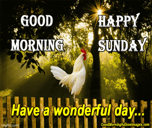 Good Morning Sunday Meme
