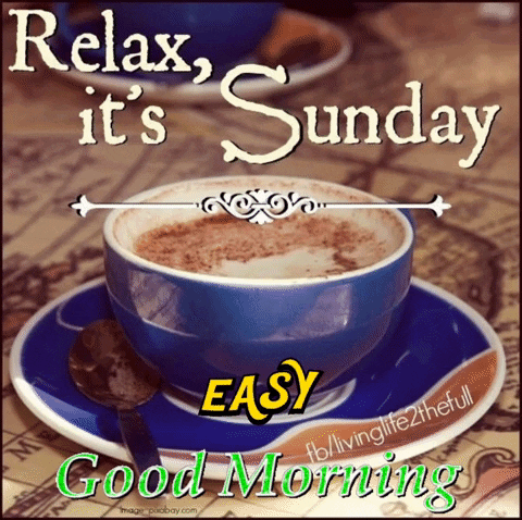 Good Morning Sunday GIF. This 480 x 478 animated GIF is part of our guten morgen sonntag collection. Related themes include good morning sunday. Created by…