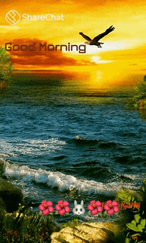 Good Morning Sunrise GIF